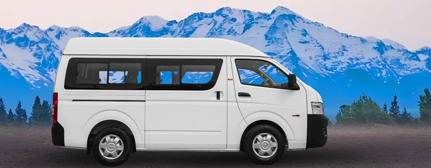 Foton VIEW C2 Panel Van -5